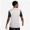 Men’s Short Sleeve T-Shirt Nike TIEMPO PREMIER 2 TEE DH8035 052 Grey