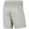 Men's Sports Shorts Nike DRI FIT PARK III BV6855 017 Grey