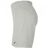 Men's Sports Shorts Nike DRI FIT PARK III BV6855 017 Grey