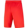 Sport Shorts for Kids Nike DRI FIT PARK III BV6865 635 Pink