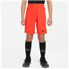 Sport Shorts for Kids Nike DRI FIT PARK III BV6865 635 Pink