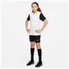 Child's Short Sleeve T-Shirt Nike TIEMPO PREMIER 2 TEE DH8389 100 White