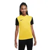 Child's Short Sleeve T-Shirt Nike TIEMPO PREMIER 2 TEE DH8389 719 Yellow
