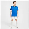 Child's Short Sleeve T-Shirt Nike NK DF ACD25 SS TOP FZ9758 463 Blue