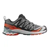Men's trail running shoes (mountain running) Salomon Xa Pro 3D V9 Grey