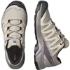 Hiking Boots Salomon X-Adventure Recon Oxford Light brown