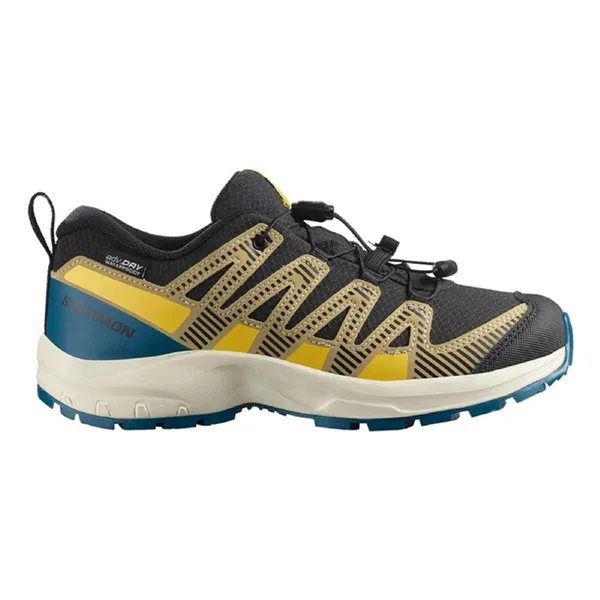 Men's trail running shoes (mountain running) Salomon Xa Pro V8 Black Grey