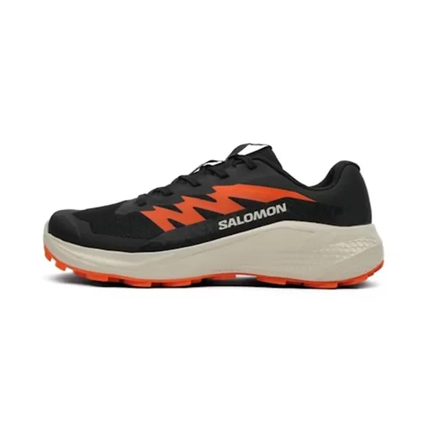 Men's trail running shoes (mountain running) Salomon Alphaglide Black