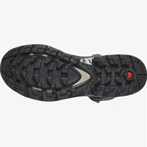 Hiking Boots Salomon Quest Element Gore-Tex Grey