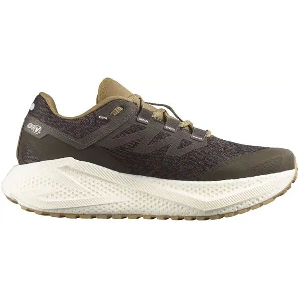 Running Shoes for Adults Salomon Aero Glide 3 Grvl Brown
