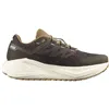 Running Shoes for Adults Salomon Aero Glide 3 Grvl Brown