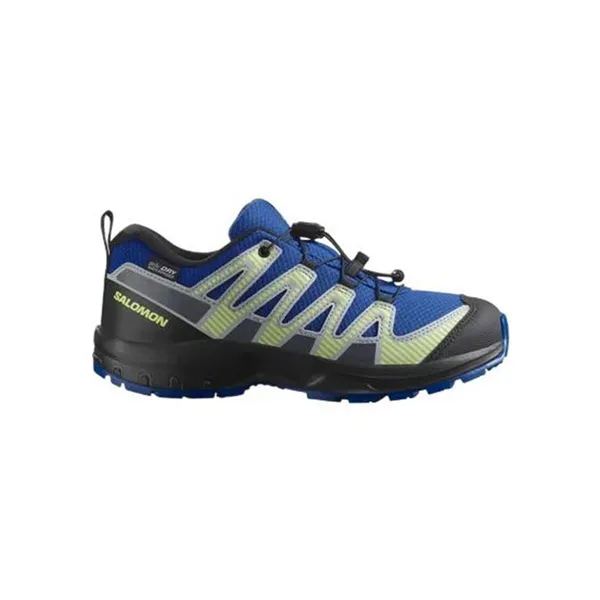 Men's trail running shoes (mountain running) Salomon Xa Pro V8 Blue