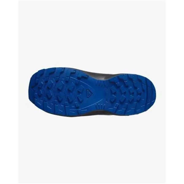 Men's trail running shoes (mountain running) Salomon Xa Pro V8 Blue