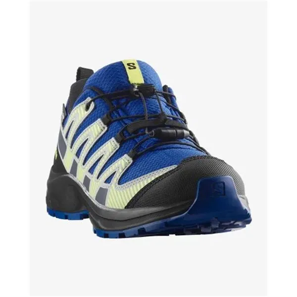 Men's trail running shoes (mountain running) Salomon Xa Pro V8 Blue