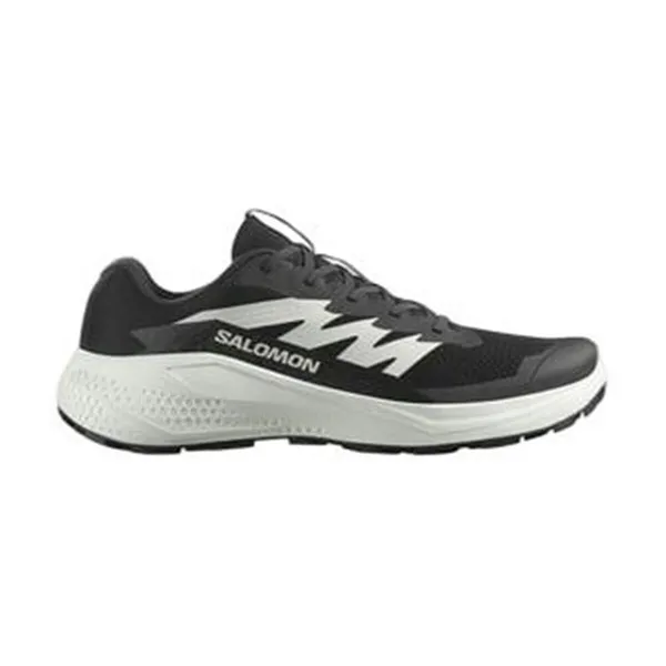 Men's trail running shoes (mountain running) Salomon Alphaglide Black