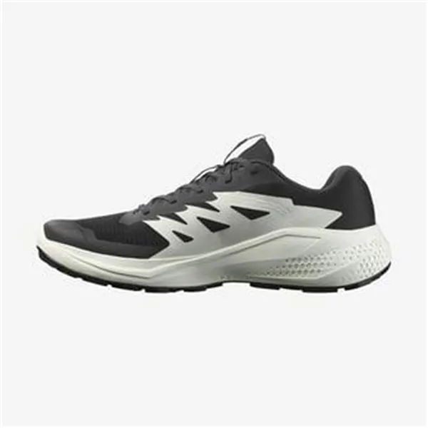 Men's trail running shoes (mountain running) Salomon Alphaglide Black