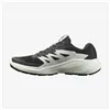 Men's trail running shoes (mountain running) Salomon Alphaglide Black