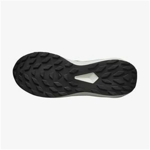 Men's trail running shoes (mountain running) Salomon Alphaglide Black