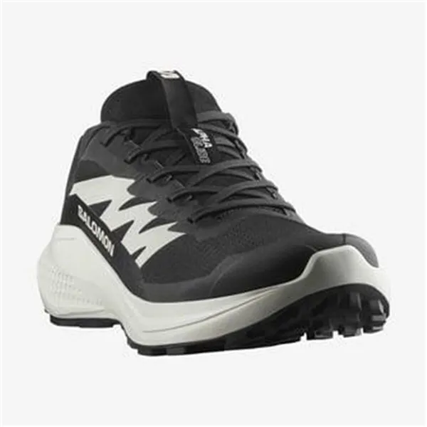 Men's trail running shoes (mountain running) Salomon Alphaglide Black