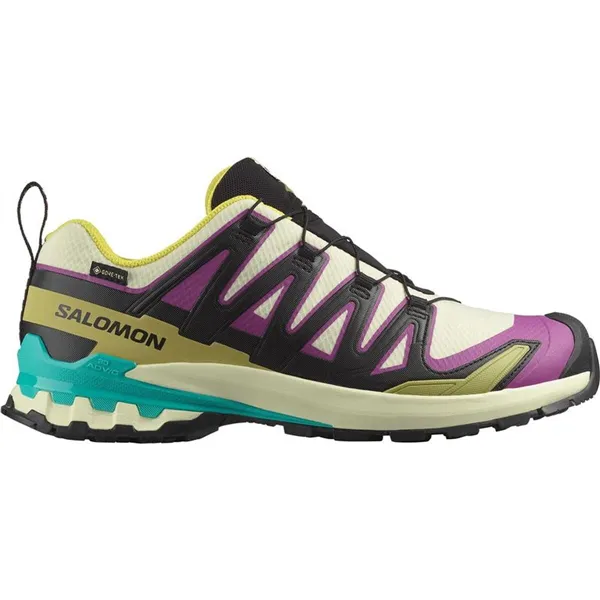 Men's trail running shoes (mountain running) Salomon Xa Pro 3D V9 Gtx Light brown