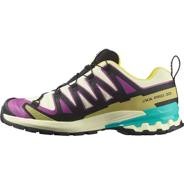 Men's trail running shoes (mountain running) Salomon Xa Pro 3D V9 Gtx Light brown
