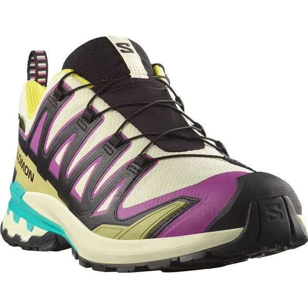 Men's trail running shoes (mountain running) Salomon Xa Pro 3D V9 Gtx Light brown