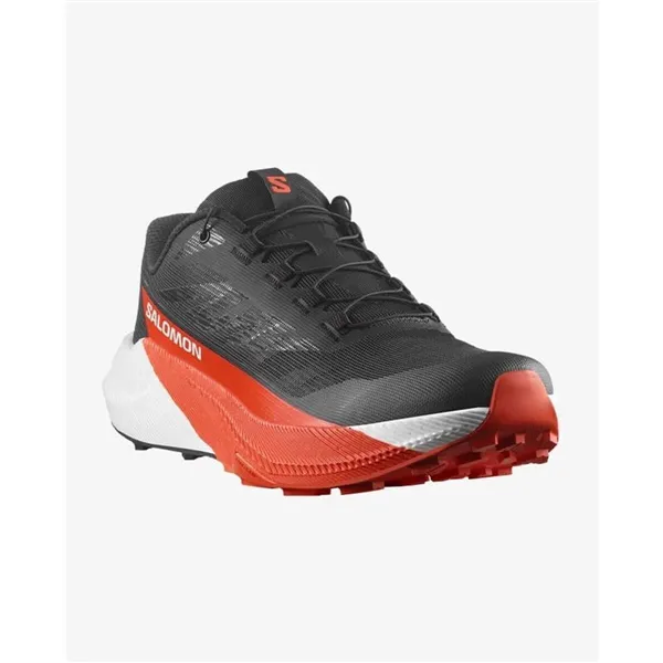 Men's trail running shoes (mountain running) Salomon Pulsar Black
