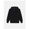 Men’s Hoodie Dickies Summerdale Black