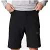 Men's Shorts Columbia Silver Ridge™ Black