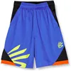 Sport Shorts for Kids Under Armour Blue