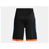 Sport Shorts for Kids Under Armour Blue