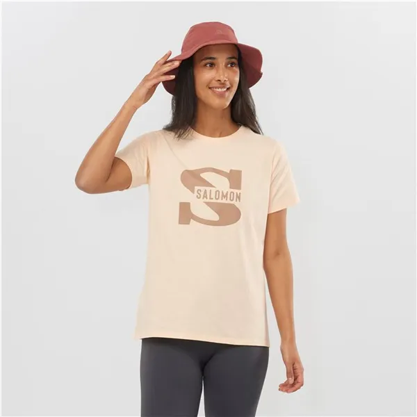 Men’s Short Sleeve T-Shirt Salomon Beige
