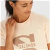 Men’s Short Sleeve T-Shirt Salomon Beige