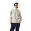 Men’s Sweatshirt without Hood Champion Icons Contrast