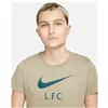 Women’s Short Sleeve T-Shirt Nike Liverpool FC Brown