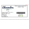 Globe Alexandra House Living Aluminium 12 x 24 x 12 cm