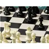 Chess Cayro My First Chess