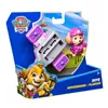 Action Figure The Paw Patrol