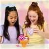 Playset Moose Cookeez