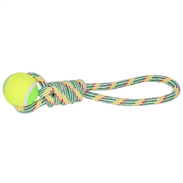 Игрушка для собак Springos PA0276