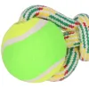 Игрушка для собак Springos PA0276