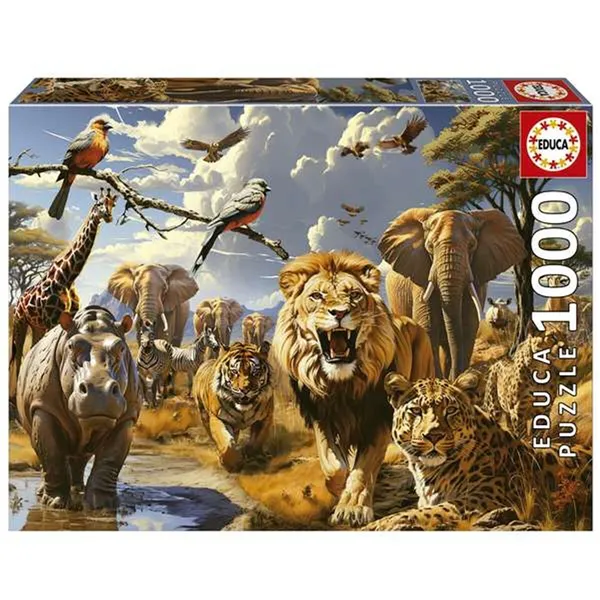 Puzzle Educa 1000 Pieces