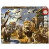 Puzzle Educa 1000 Pieces