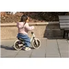 Tricycle Ociotrends