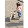 Tricycle Ociotrends