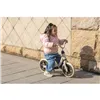 Tricycle Ociotrends