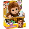 Baby Doll Moose Toys My Baby Monkey