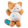 Musical Toy Vtech Baby My Kitten Sweet Night 36 x 25 x 14 cm