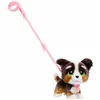 Fluffy toy Furreal Friends Large Walking Puppy Multicolour (2 Pieces)