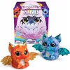 Playset Spin Master Draggle Hatchimals Alive Secret Hatch